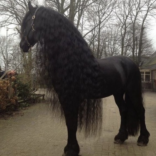 Charlotte's Web (Prod Keego)