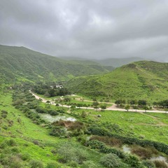 يا غربتي - مسلم العامري