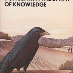 Free read The Teachings of Don Juan a Yaqui Way of Knowledge by castaneda, carlos (1968)