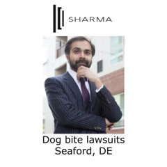 Dog bite lawsuits Seaford, DE