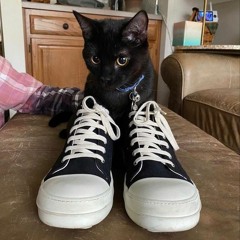 4-4-2 Freestyle (prod. xienzu)