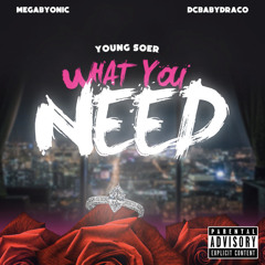 Dc Baby Draco X Young Soer X Megabyonic - What You Need ( ProdBy Yung Tvck )