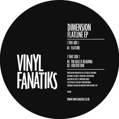Dimension - The Bass Is Bleading - VFS088 - 192mp3 clip