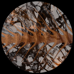 Primitif x Shivir - Seyrin