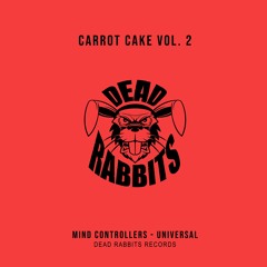 Mind Controllers - Universal (Extended Mix)
