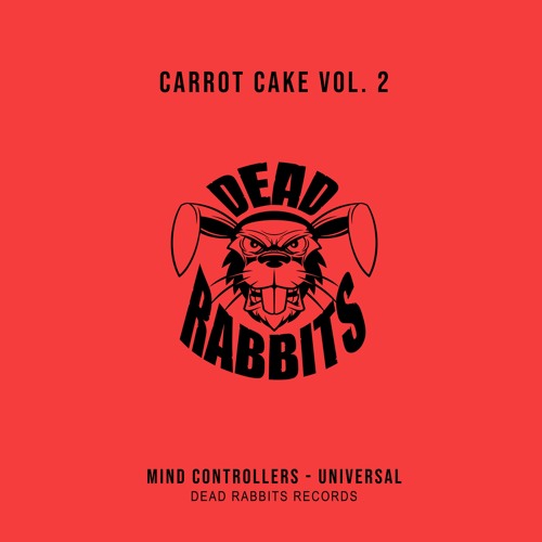 Mind Controllers - Universal (Extended Mix)