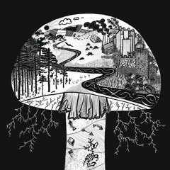 The Bowels Of Symondshyde
