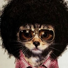 Funk Disco Soul [Edition #001]