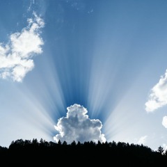 Doubting Peace