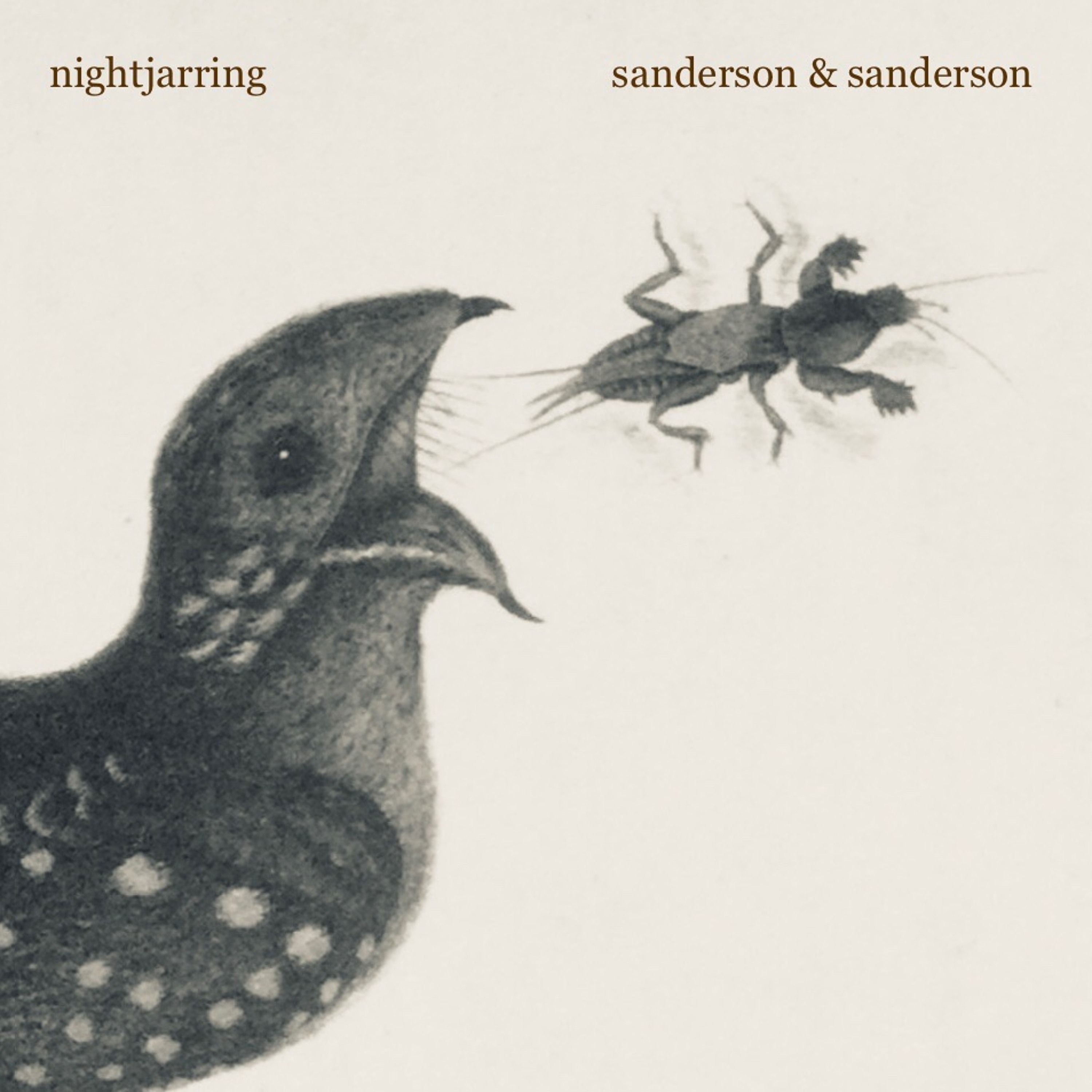 nightjarring (the souls of unbaptised children wander the skies tonight) episode artwork