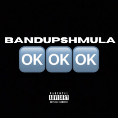Polo G OkOkOk (Remix)