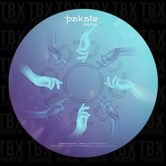 Premiere: Rhoger, BlockheadLZ - I Can Feel It [Pakate Records]