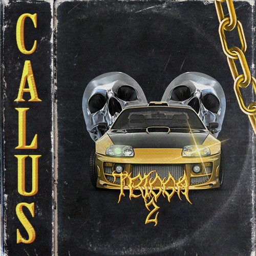 CALUS X QWERRXR - A4C5D5E5F5A5