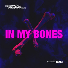 In My Bones (feat. Dan McAlister)
