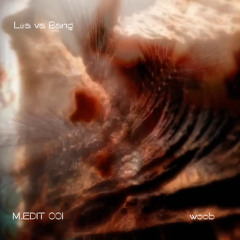 M.EDIT 001 ~ woob void part 2 (1994)