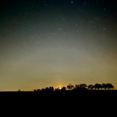 Moonbeam