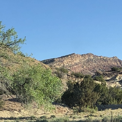 i thought of u somewhere in new mexico