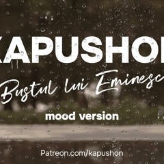 Kapushon - Bustul lui Eminescu (mood version)