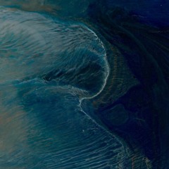2206_Inhibition