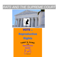 Rats and the Supreme Court