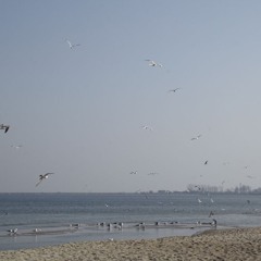 Where The Sky Meets The Sea