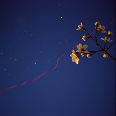 Threads of Fate