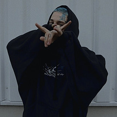 [party] crasher - tj_beastboy | slowed n‘ reverb