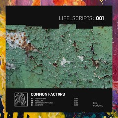 PREMIERE: Common Factors — Five Clusters (Original Mix) [Life Scripts]