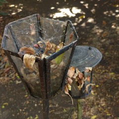 Y arderán (coberrr2022rrrrr)