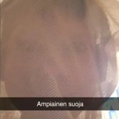 Ampiainen Suoja