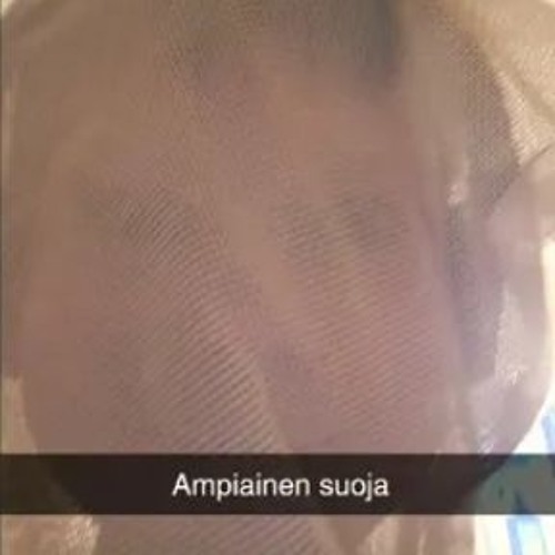 Ampiainen Suoja
