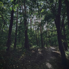 Lost