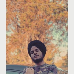 Shera Samb Lai |Arjan Dhillon   Shehnaaz Gill   Preet Hundal   Latest Punjabi Songs 2019
