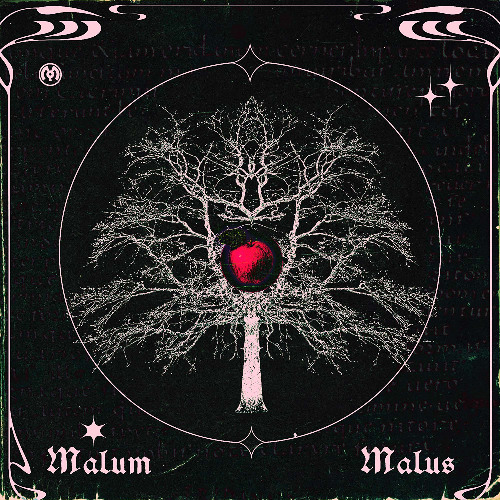 illexotic - Back On My