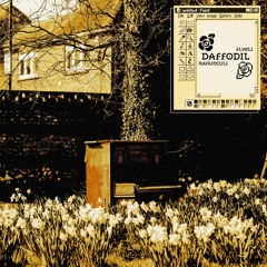 ranunculi & JLYELI - Daffodil