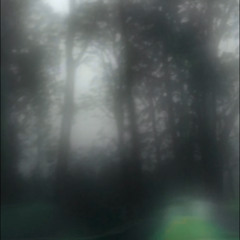 Princess of the darkness,.,.Leonard