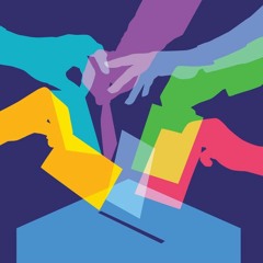 Voter Abstention | Cassidy Kanner-Gomes