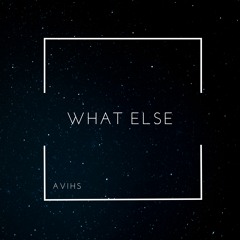 AVIHS - WHAT ELSE