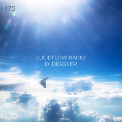 LUCIDFLOW RADIO 175: D.DIGGLER 'PRIVATE ESCALATION AFTER HOUR VINYL SET PT1' - LUCIDFLOW-RECORDS_COM