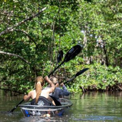 Review Special Price Clear Kayak Tour In North Miami Beach - Mangrove Tunnels