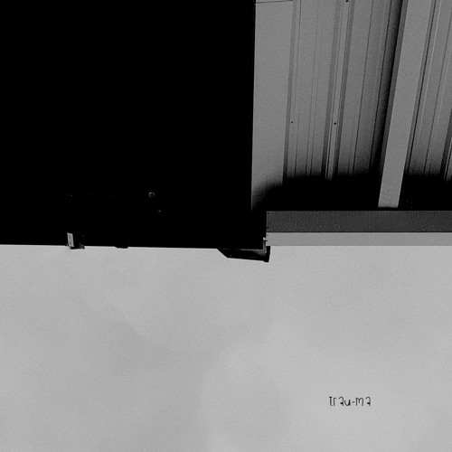 AntidoteMT - Perspective (TRM212)