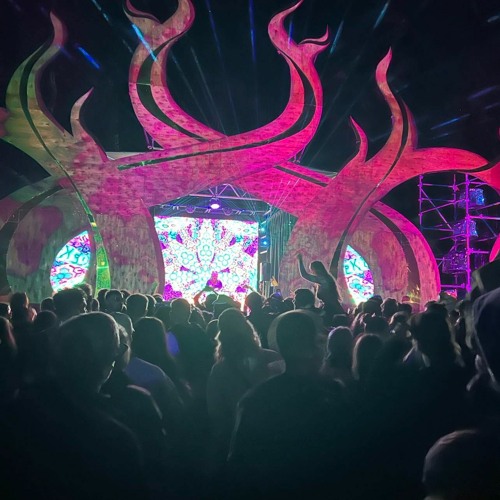 THE FOREST - SPLENDOUR IN THE GRASS 2023