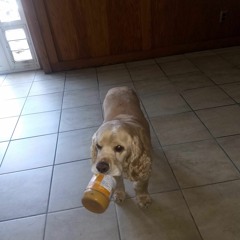 Fever (prod. A_5th_Shared)