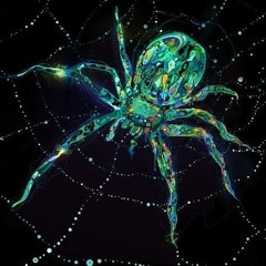 Spider web Remix