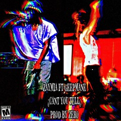 CANT YOU TELL? ft GEEPMANE(prod.ZER0)
