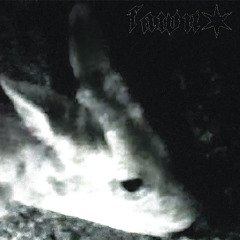 hollowdeer