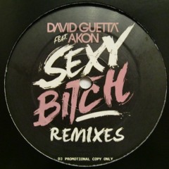 David Guetta Ft. Akon - Sexy Bitch (Anton Summer 2024 Mix)