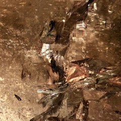 dont run, fight ( dior + veilonme )