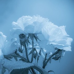 Mvt I. Lento e Solenne