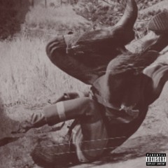 Rattlesnake Freestyle